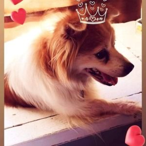 Meet your Posher, Deborah